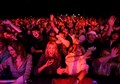 Crowd photo. Picture: James Mackenzie.