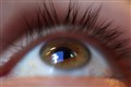 Facebook redoubles efforts to tackle misinformation within groups