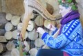 Deadline approaching for Badenoch and Strathspey musicians