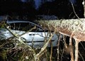 Tidy up starts in Badenoch and Strathspey after the big storm