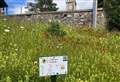 PICTURES: Kingussie is bursting into colour thanks to volunteers