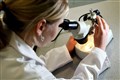 Slow-living animal species could be disease reservoirs – study