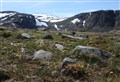 Walkers wanted to bag some soil from Cairngorms Munro tops