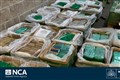 Drug smugglers guilty over £200m cocaine haul stashed in bananas