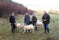 Community land-buy and cinema project in Badenoch hit the jackpot