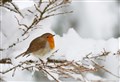WATCH: Are we heading for a White Christmas? Met Office says it's 'looking likely'