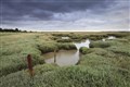 Section of sea wall removed to help protect saltmarsh habitat