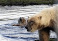 Having a splashing time (all photos by Frances Porter)