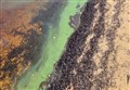 Algal growth on popular Strathspey loch being checked out