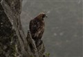 Warning Cairngorms National Park in danger of being surrounded by 'ring of steel'