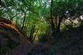 Search reveals more than 49,000 miles of paths missing from the map