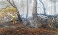 Cairngorms wildfire hot spots warning issued after forest blaze