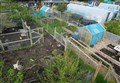 Calls grow for allotments to be created in Aviemore