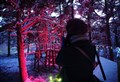 WATCH: New woodland light trail brings spark of magic to winter nights at Landmark adventure park