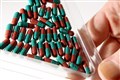 Antibiotics can help certain bacteria survive for longer, research suggests