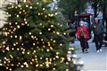 Governments to discuss four-nation approach to Christmas