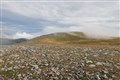 Am Faochagach (31)