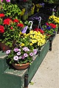 Pearl anniversary for Badenoch gardeners