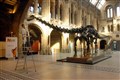 Museum and gallery trips have no impact on GCSE grades – study