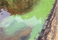 Blue-green algae warning at popular Strathspey nature reserve