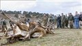 Gamekeepers up in arms over return of helicopter culls