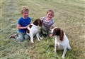 One of the stolen Kingussie dogs found but the search goes on