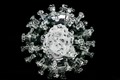 What is known about the Brazilian coronavirus variant?