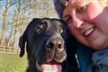Rebellious guide dog finds new home after struggling with working life