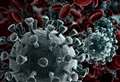 Another 18 confirmed coronavirus cases in NHS Highland area 