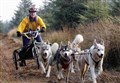 Mushers set to wheel into the Cairngorms