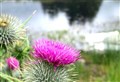 Highland organisations asked to take part in study to explore opportunities to generate community wealth
