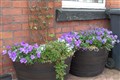 Adding plants to front gardens reduces stress and makes people happier – study