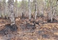 Possible ban on starting fires in Cairngorms National Park to be considered