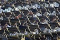 Annual house price growth slowed in December – ONS