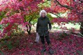 Camilla takes to treetops during arboretum visit