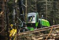 Timber felling operation swings into action on Glenlivet Estate
