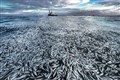 Natural History Museum photo exhibition to highlight a ‘planet under pressure’