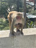 Scenes from day one of the intrepid group's stunning Himalayan adventure. Pictures: Highland Hospice.