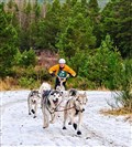 Rigs were used rather than sleds this year