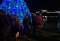 Is this Ross-shire Christmas 'tree' one of the best in the UK? 