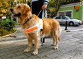 Volunteers sought in Aviemore to help the blind