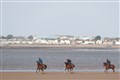MP asks whether a horse would be a better purchase than an electric car
