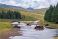 Some hope for salmon after Upper Spey restoration project