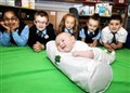 Babies to be used in Highland schools to help stop bullying