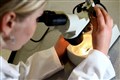 New study could pave the way for Huntington’s disease therapies