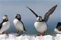 Countries failing to halt ‘unprecedented’ losses to nature, UN warns