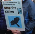 Protests in Highland capital at raptor poisonings