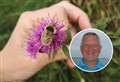 Paul Castle: Perfect time to get to know different bumblebees in the Highlands