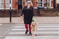Woman ‘screamed at’ by man after asking him to stop petting her guide dog