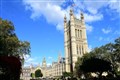 Cats ruled out for parliamentary pest patrols over welfare concerns